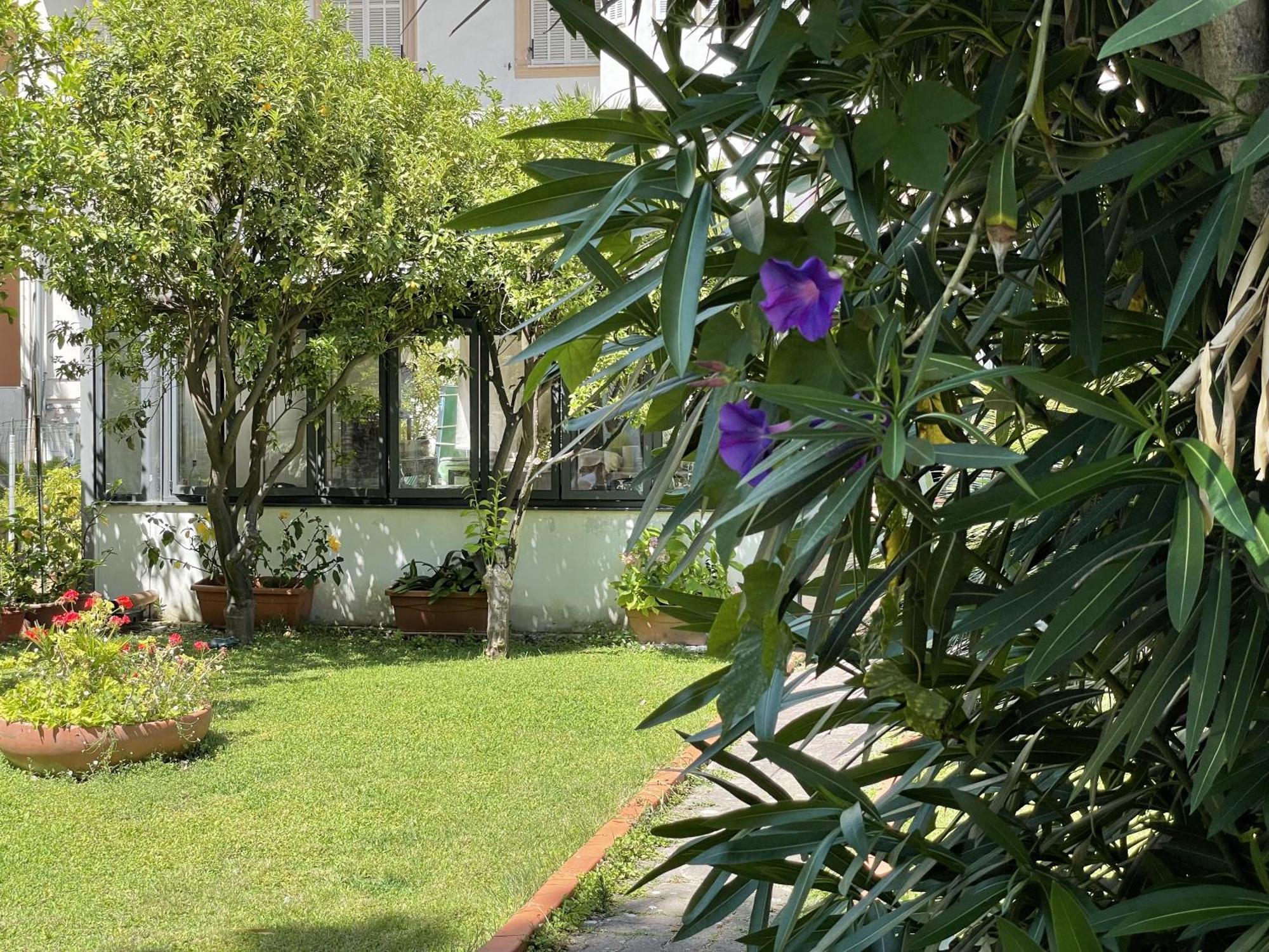 בורדיגרה Hotel Rosalia מראה חיצוני תמונה